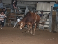 Dylan Scott & Bull Riding 056