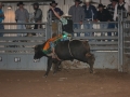 Dylan Scott & Bull Riding 057