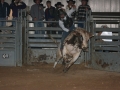 Dylan Scott & Bull Riding 060
