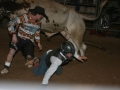 Dylan Scott & Bull Riding 062