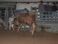 Dylan Scott & Bull Riding 063