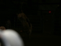 Dylan Scott & Bull Riding 066
