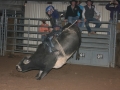 Dylan Scott & Bull Riding 073