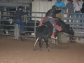 Dylan Scott & Bull Riding 075
