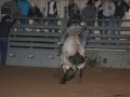 Dylan Scott & Bull Riding 077