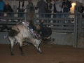 Dylan Scott & Bull Riding 079