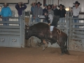 Dylan Scott & Bull Riding 087