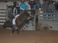 Dylan Scott & Bull Riding 088